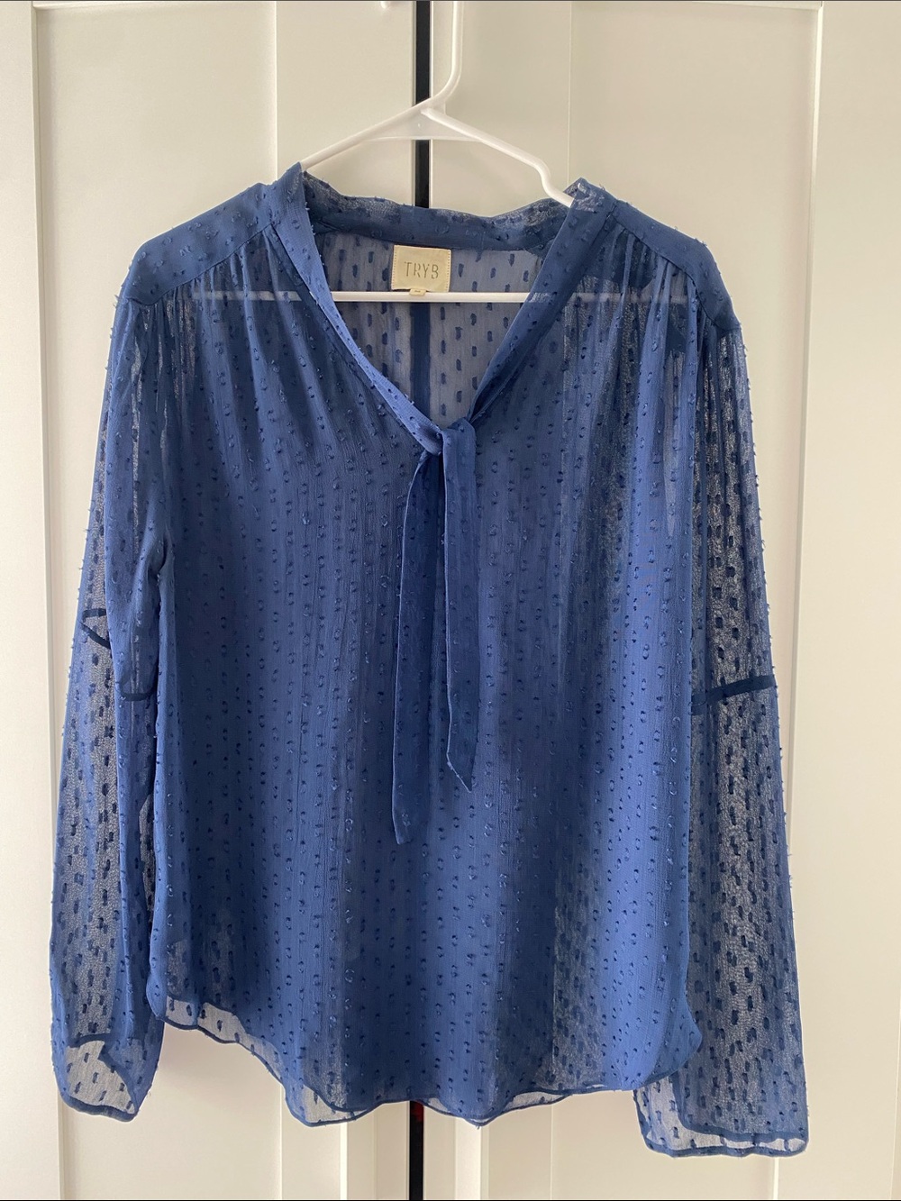 Blue Sheer Swiss Dot Tie-Neck Blouse